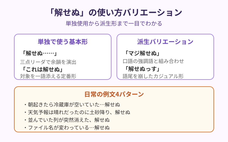 解せぬの使い方と日常での活用例