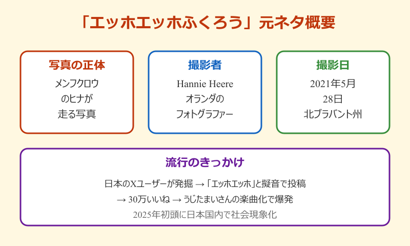 エッホエッホふくろう 元ネタの全体像