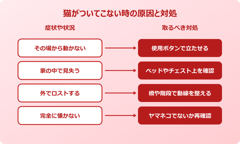 マイクラ 猫 懐かせ方でついてこない時の原因と対処