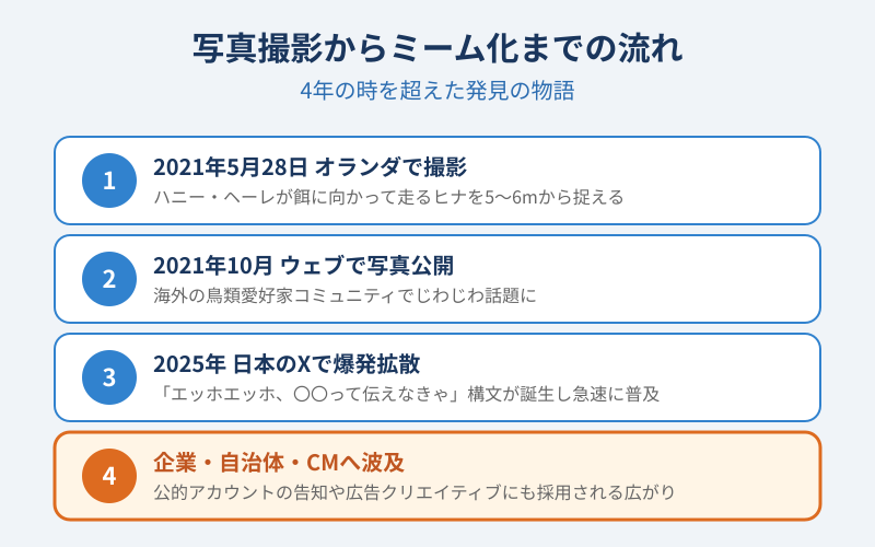 エッホエッホふくろう 写真撮影からミーム化までの流れ
