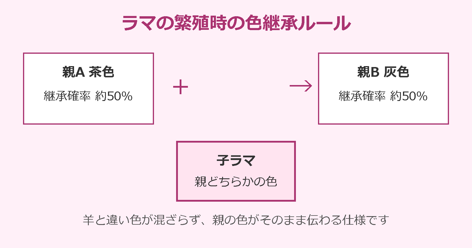 マイクラ ピンクのラマ確率 繁殖時の色継承ルール