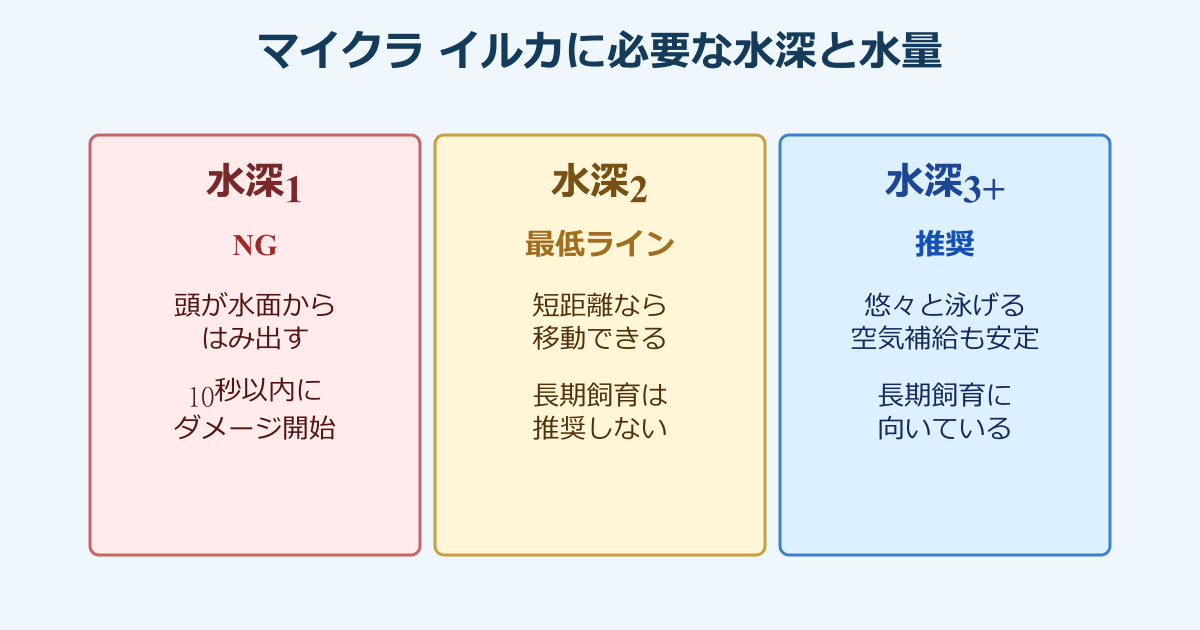 マイクラ イルカ 死んじゃう 水深と水量の基準
