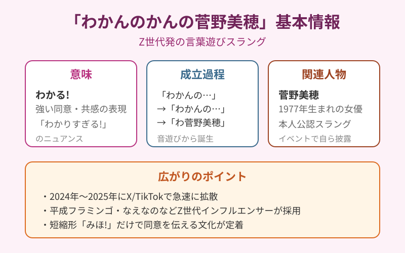 わかんのかんの菅野美穂の基本情報