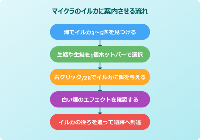マイクラ イルカ 案内の基本フロー
