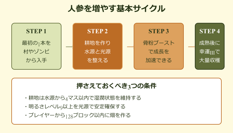 マイクラ 人参 増やし方 基本のやり方