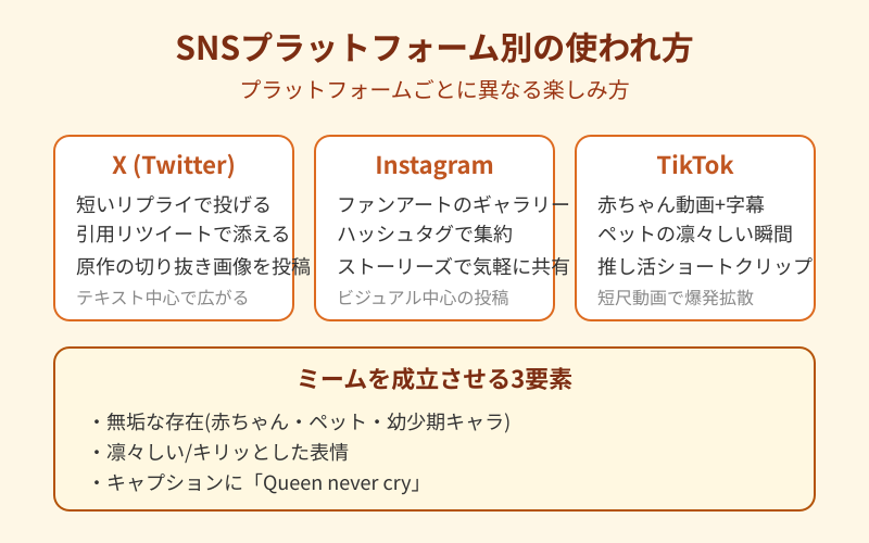 Queen never cry SNSプラットフォーム別の使われ方