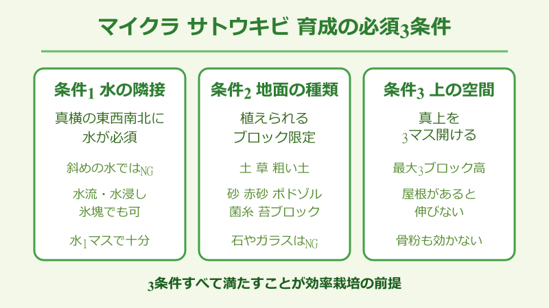 マイクラ サトウキビ 育て方の基本条件