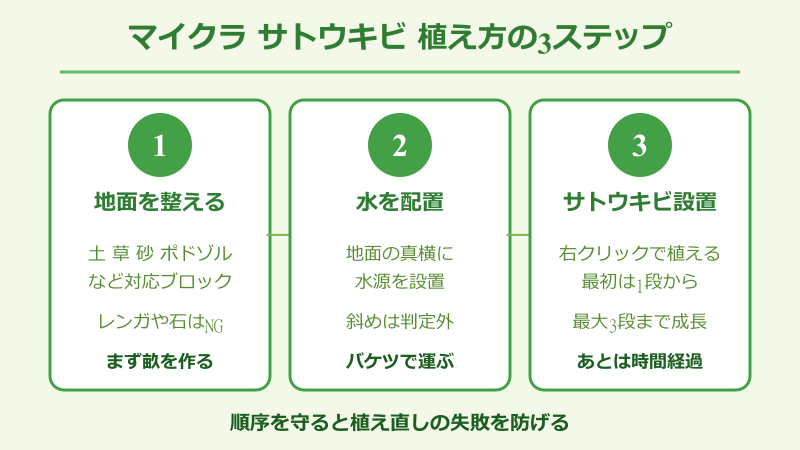 マイクラ サトウキビ 植え方の3ステップ