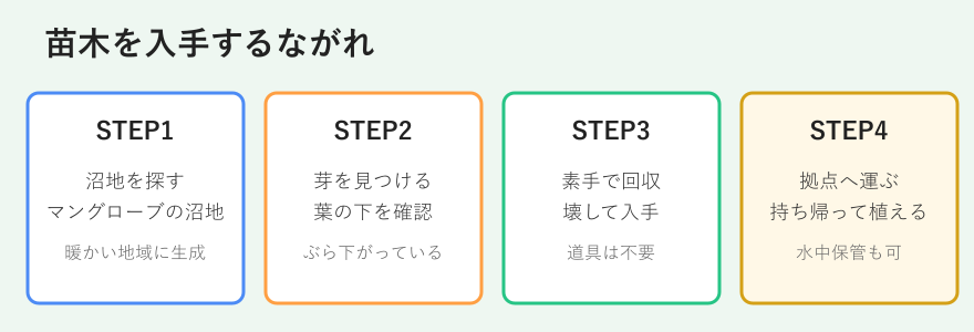 マングローブの苗木を入手する手順のフロー