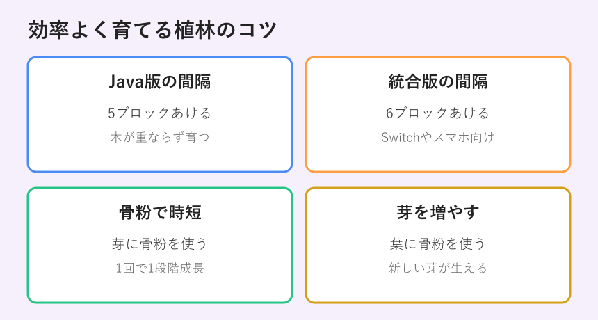 マングローブの苗木を効率よく育てるコツ