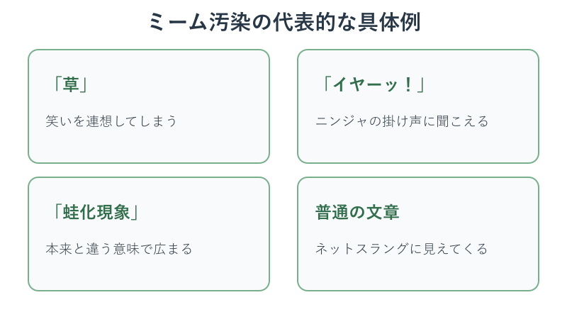 ミーム汚染の代表的な具体例カード