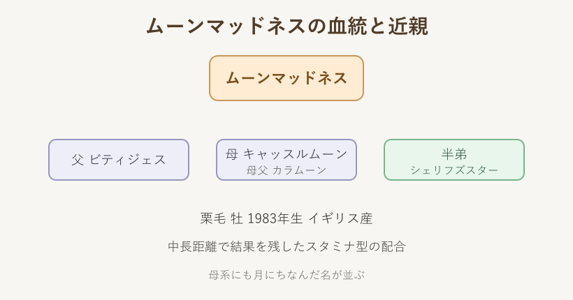 ムーンマッドネスの血統図