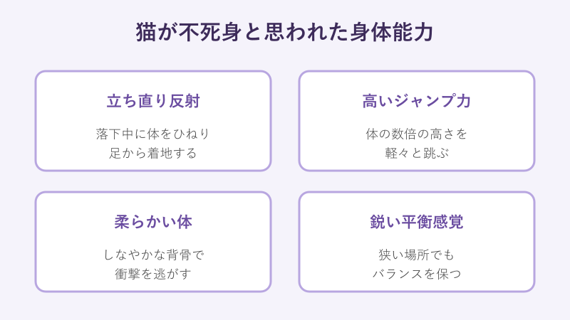猫が不死身と思われた4つの身体能力の比較図