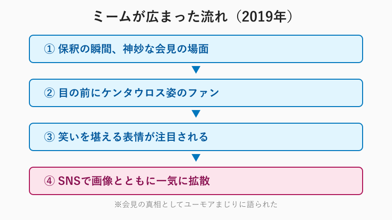 2019年にミームが拡散した流れを示すフロー図