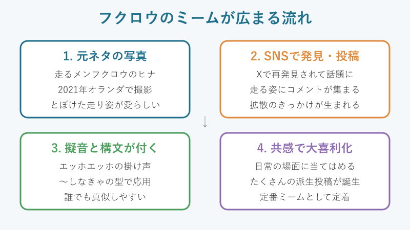 フクロウのミームが広まる流れの図解