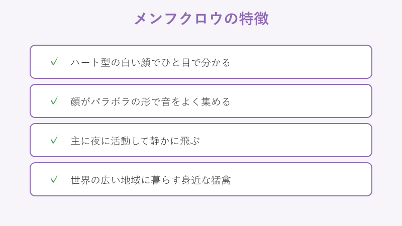 メンフクロウの特徴チェックリスト