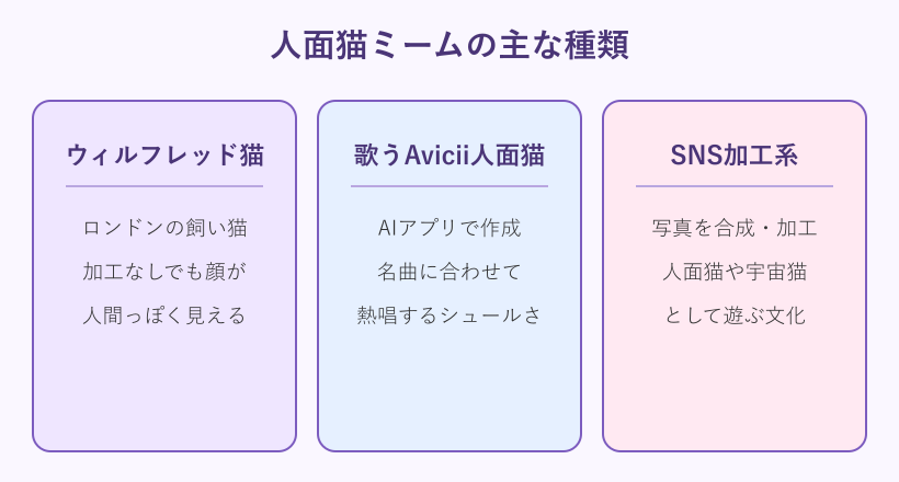 人面猫ミームの主な種類と特徴の比較図