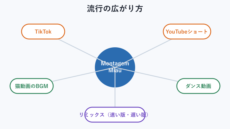 楽曲の流行の広がりを示す図
