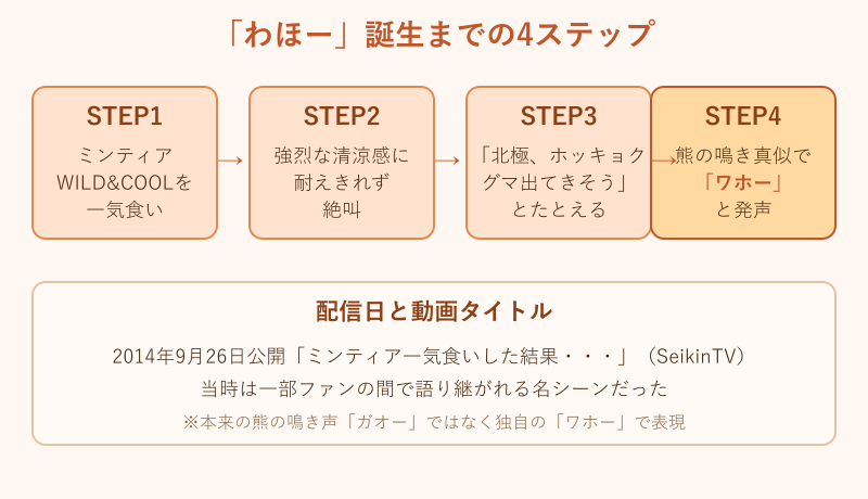 わほー誕生までの4ステップ図解